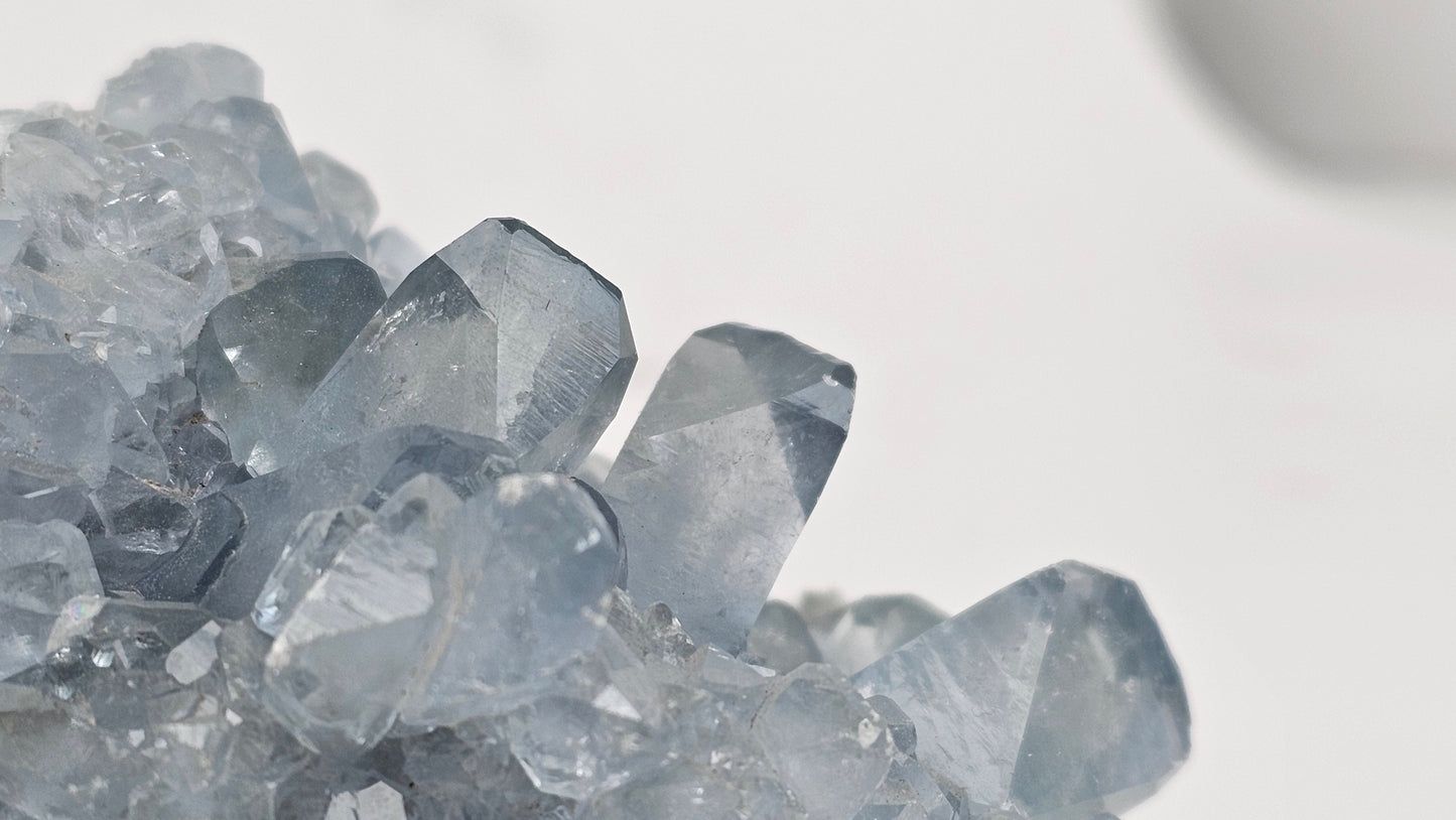 Celestite Natural Crystal Cluster for sale blue crystal for rock and mineral collection