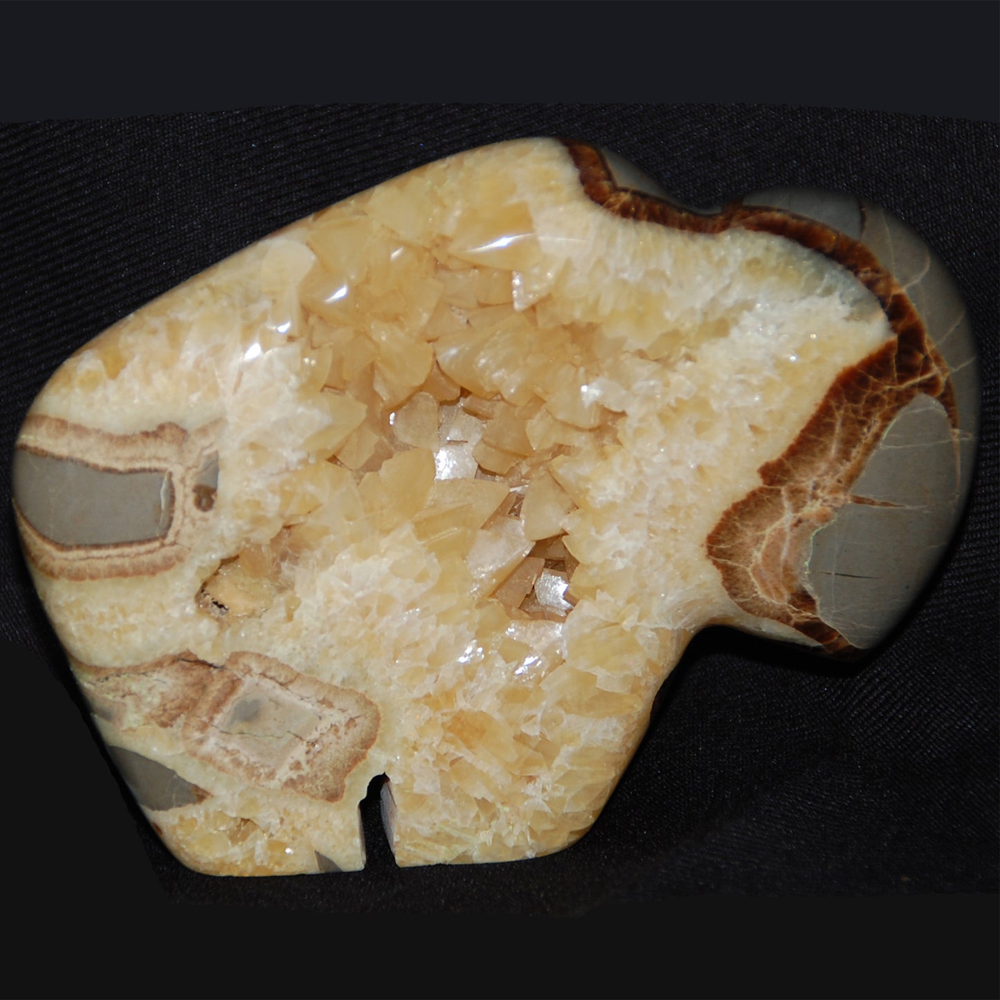 Septarian Nodule Buffalo Carving