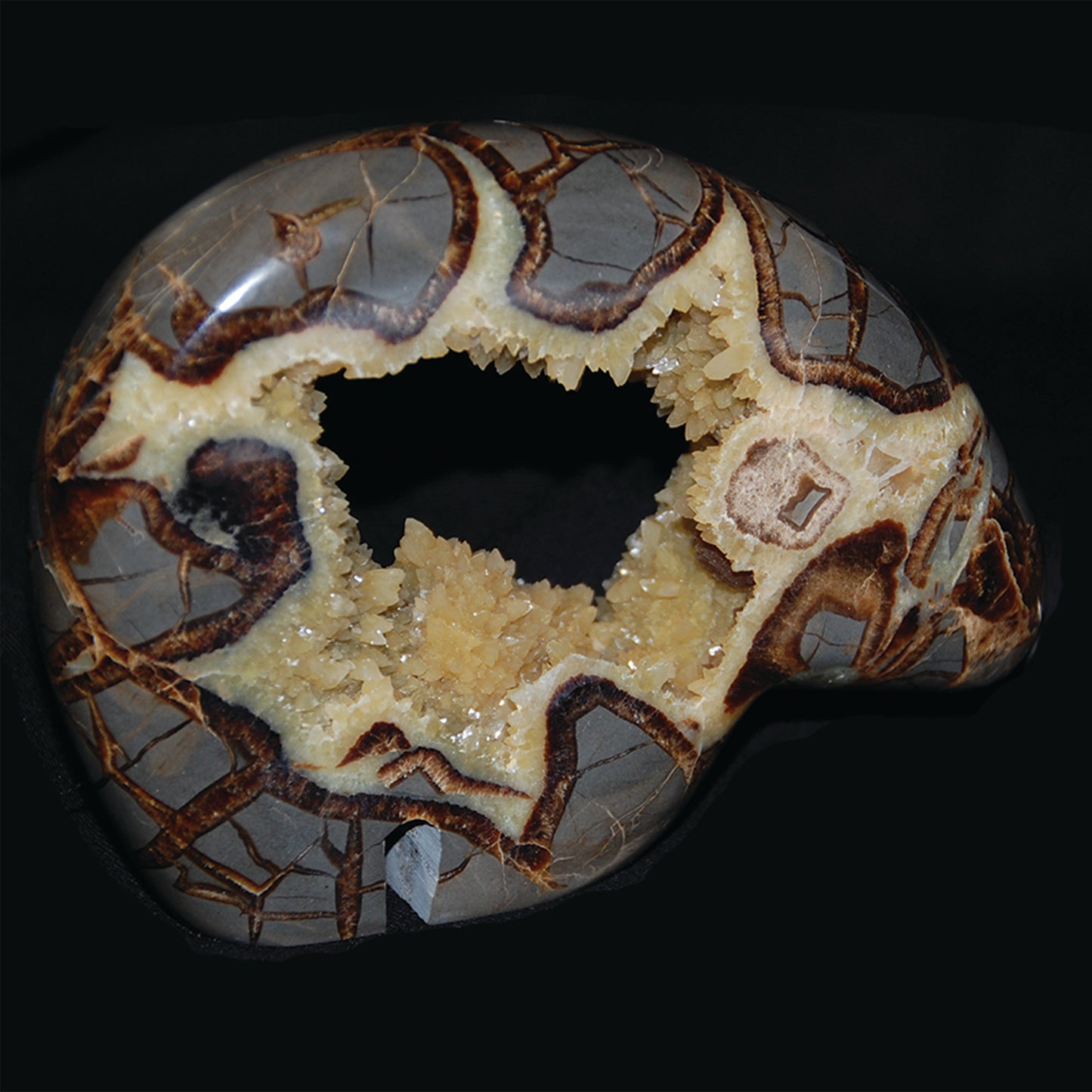 Septarian Nodule Bear Carving