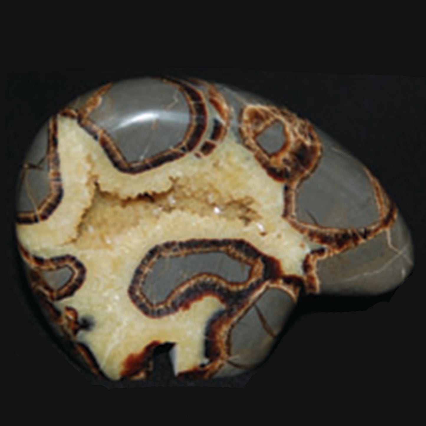 Septarian Nodule Bear Carving