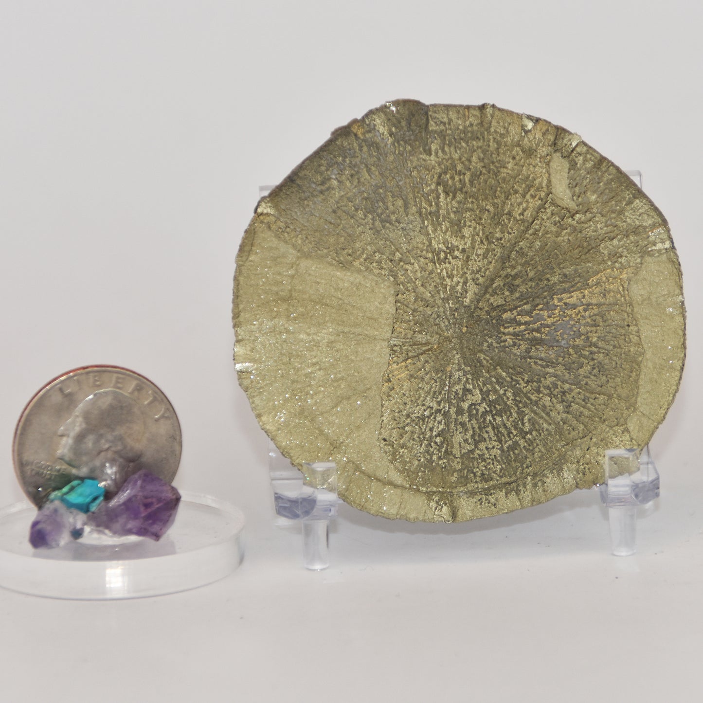 Pyrite Dollar