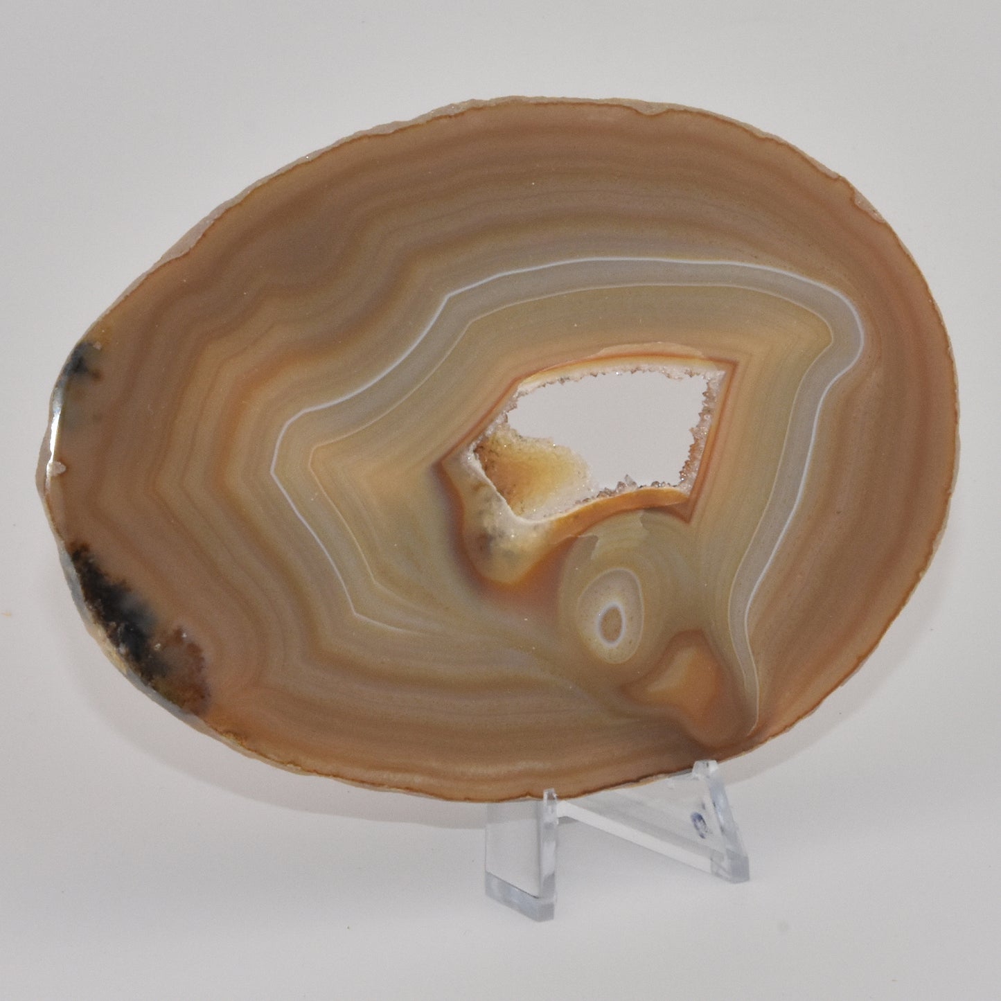 Agate Geode Slice