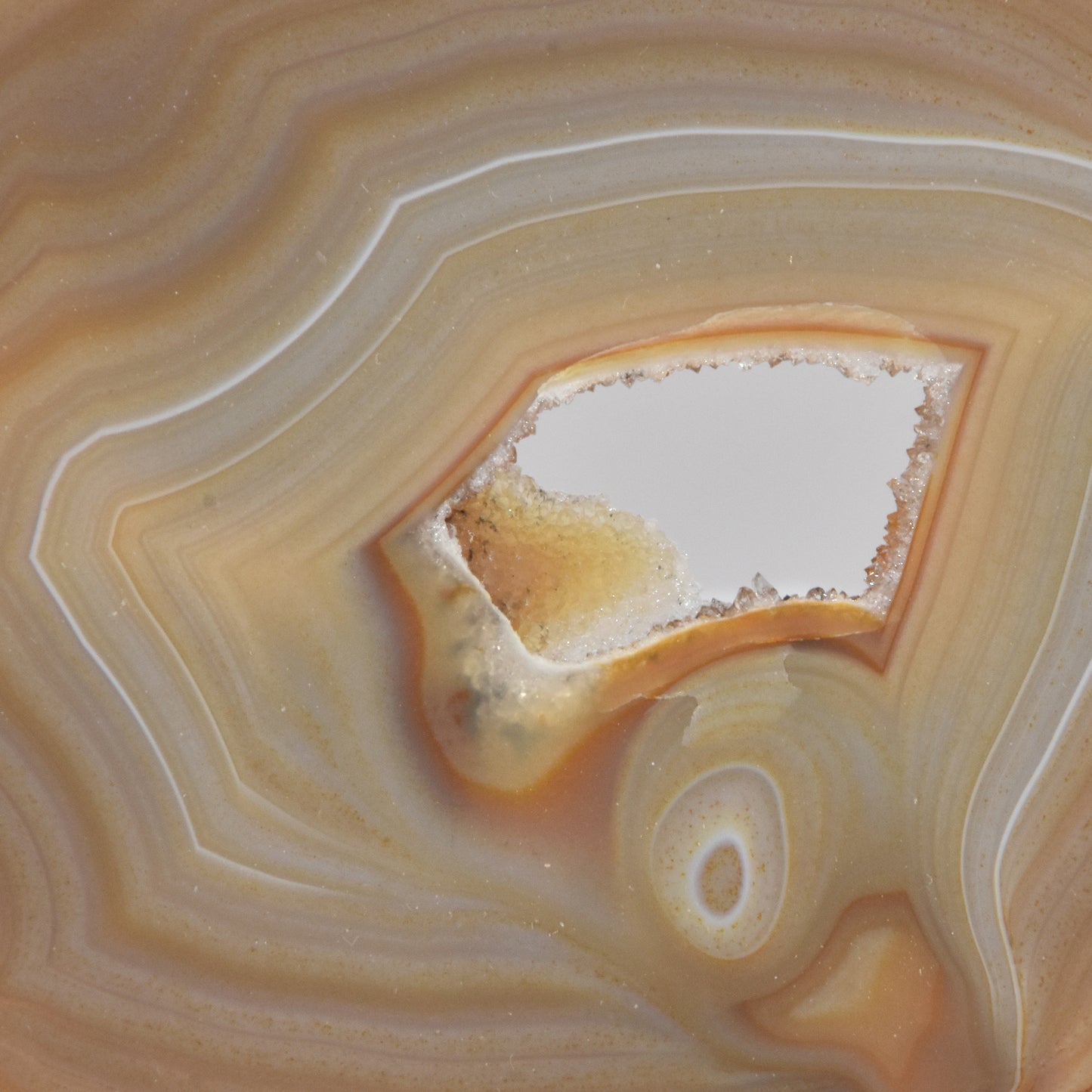 Agate Geode Slice