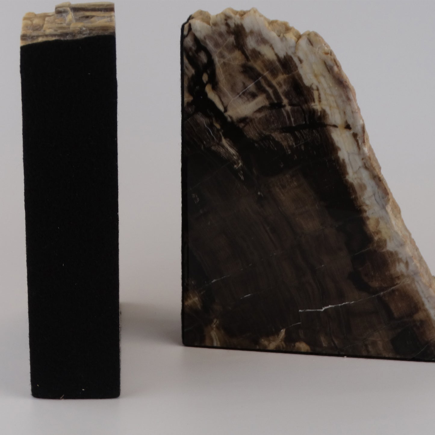 Petrified Wood Bookends