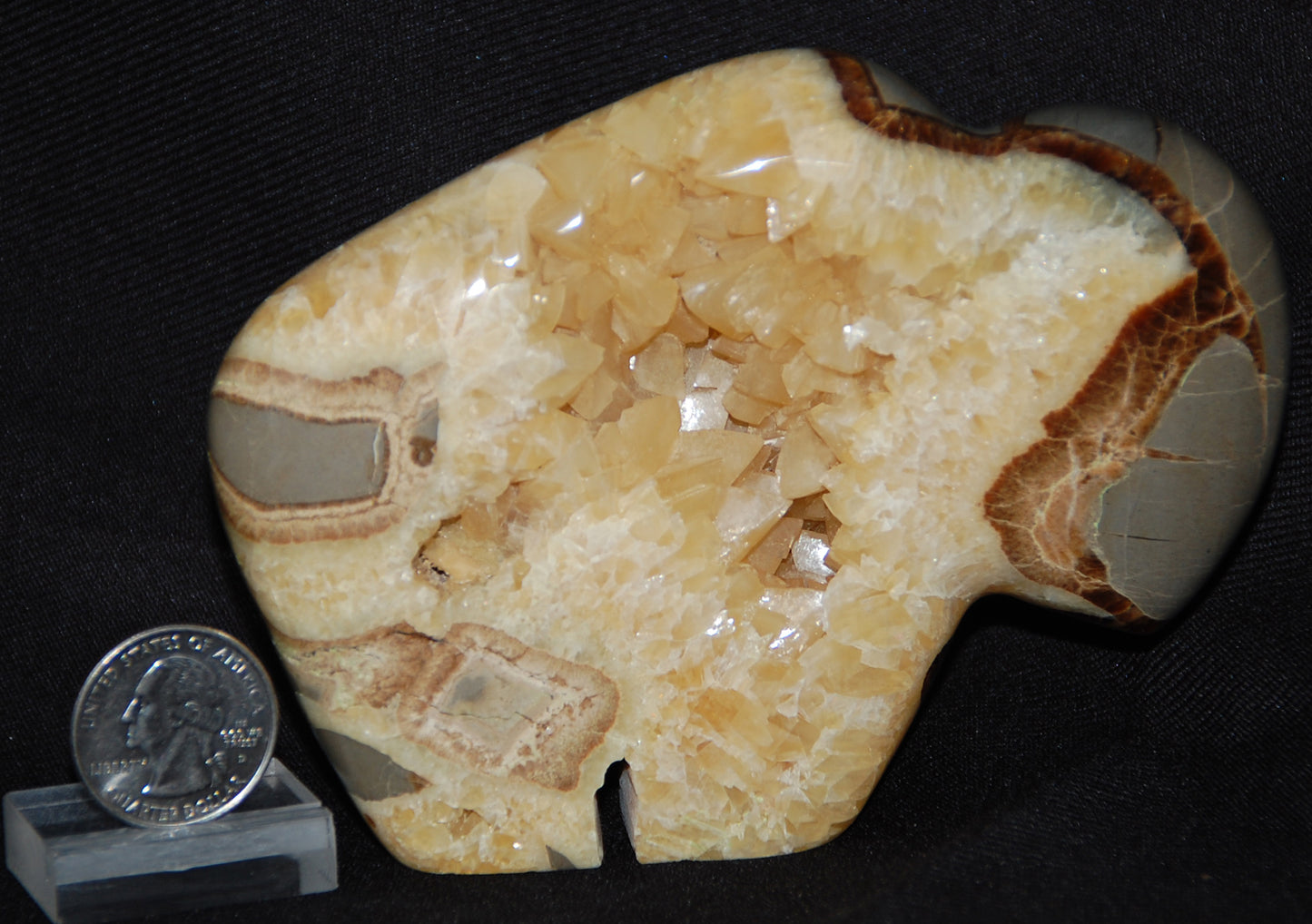 Septarian Nodule Buffalo Carving Stone Carved Bison Statue