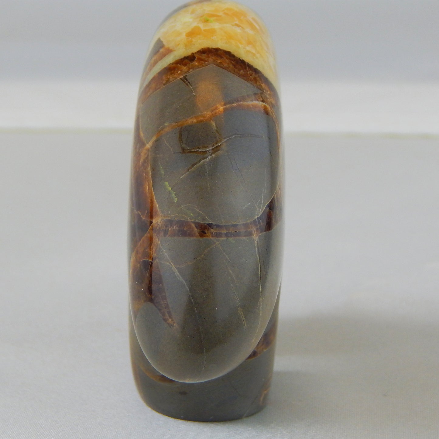 Septarian Bear Carving