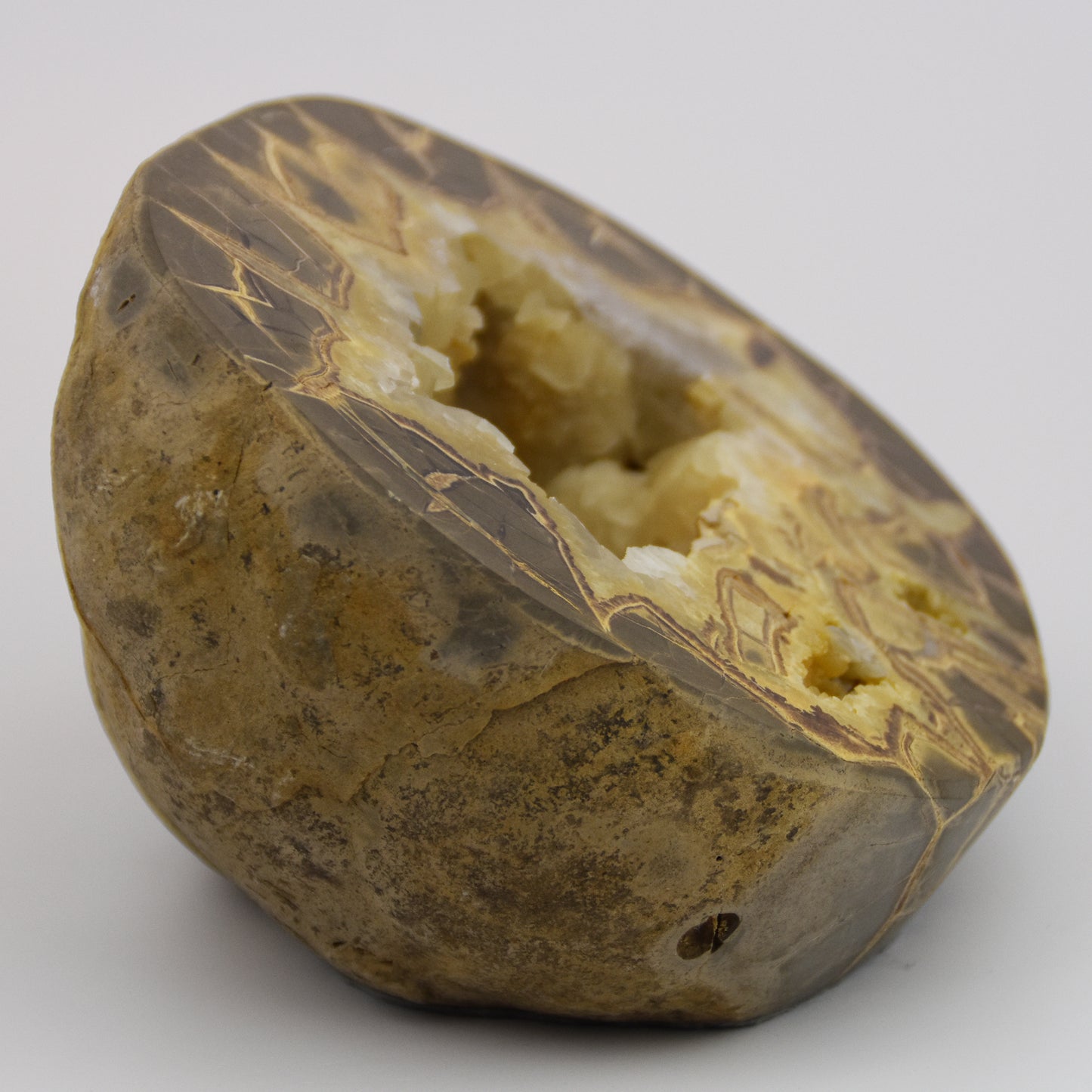 Septarian Nodule Standup