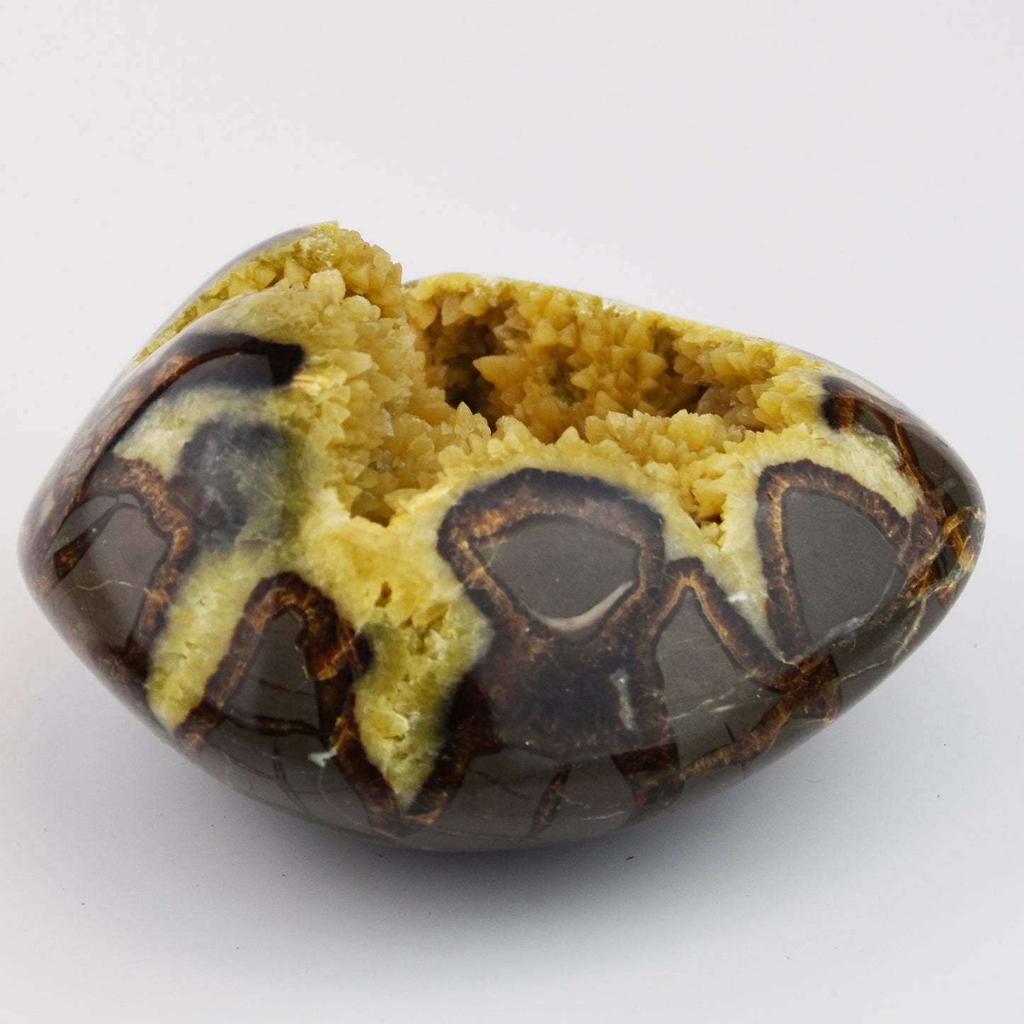 Septarian Nodule Geode