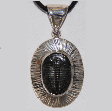Trilobite Pendant Stone Fossil Black Fossilized Marine Arthropods