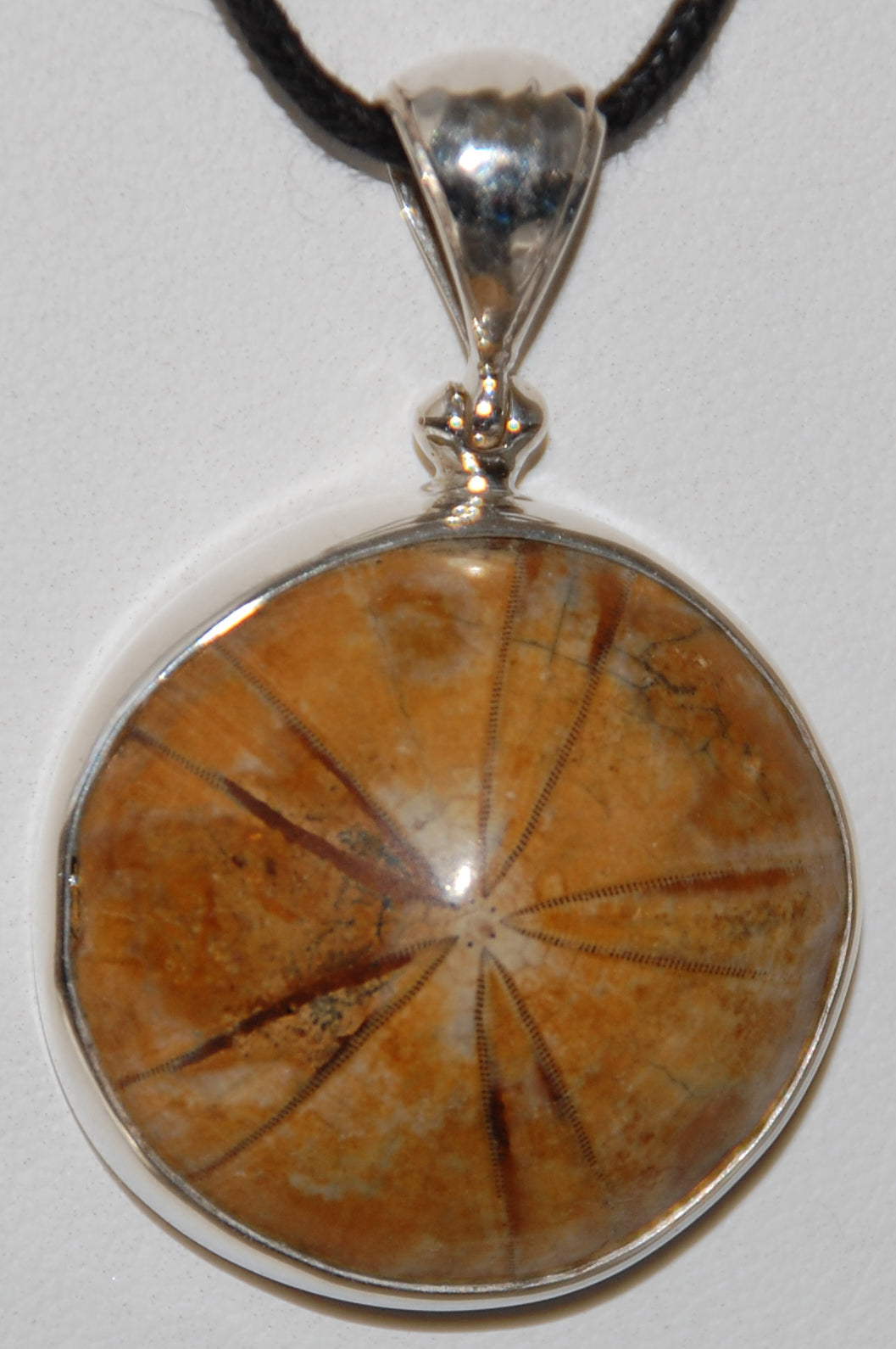 Sand Dollar Pendant