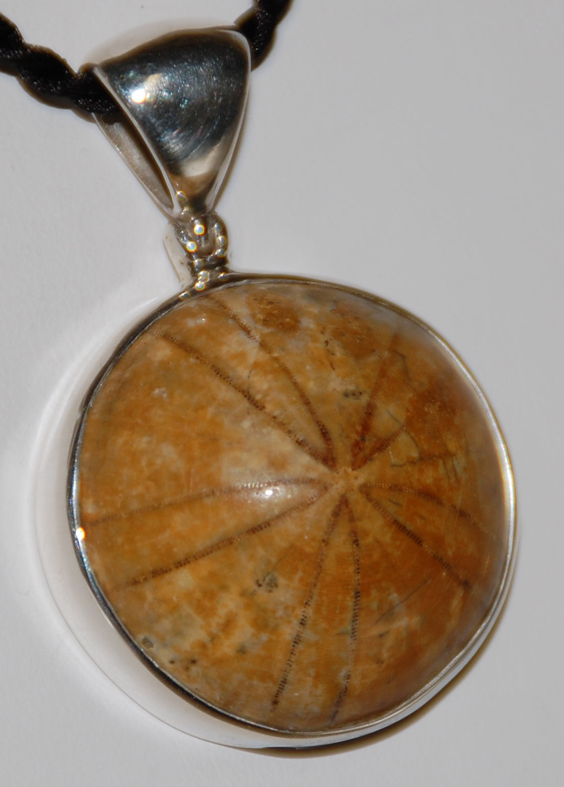 Sand Dollar Pendant