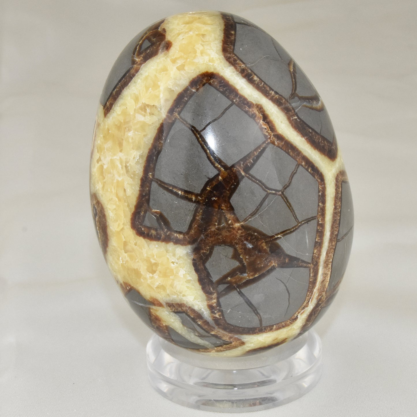 Septarian Nodule Geode Egg
