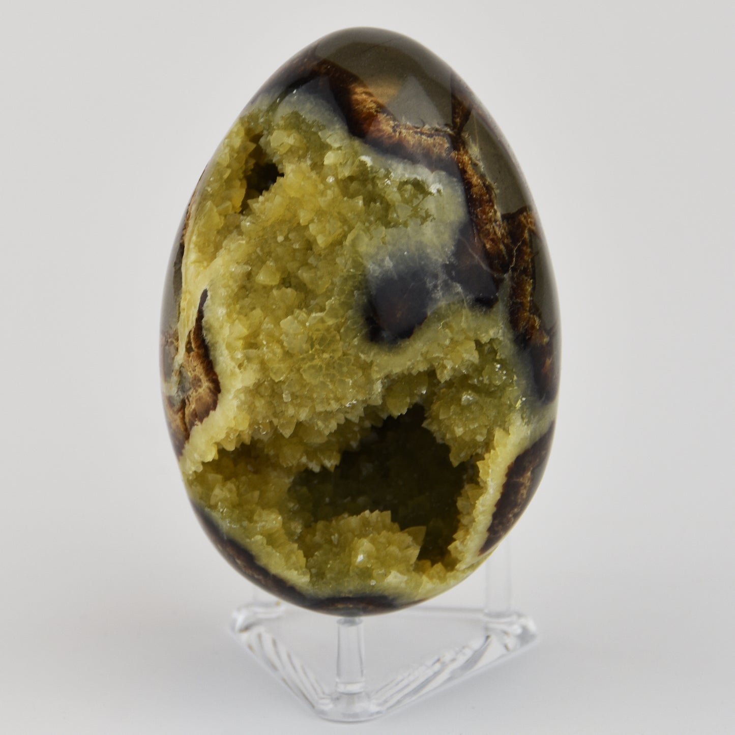 Septarian Nodule Egg