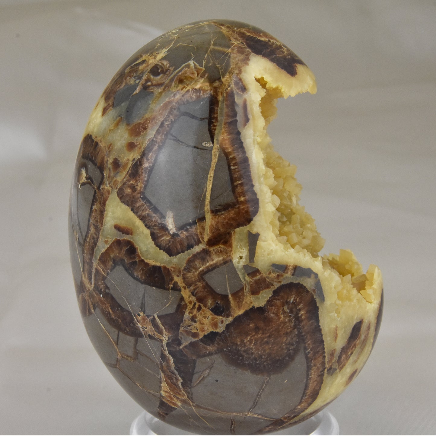 Septarian Nodule Geode Egg