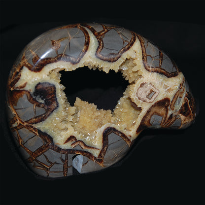 Septarian Nodule Bear Carving