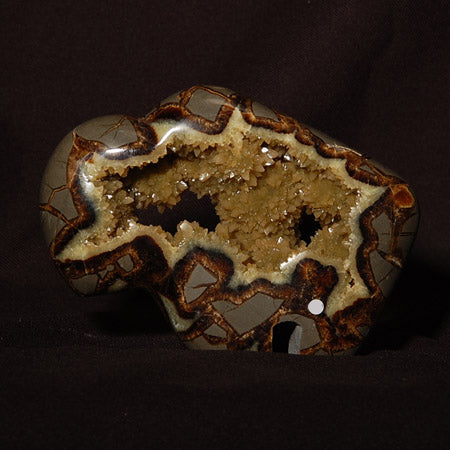 Septarian Nodule Buffalo