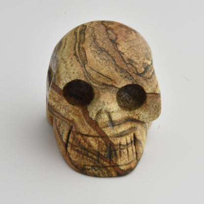 Sandstone Skull