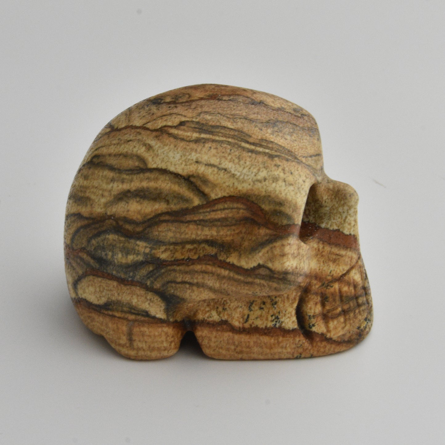 Sandstone Skull