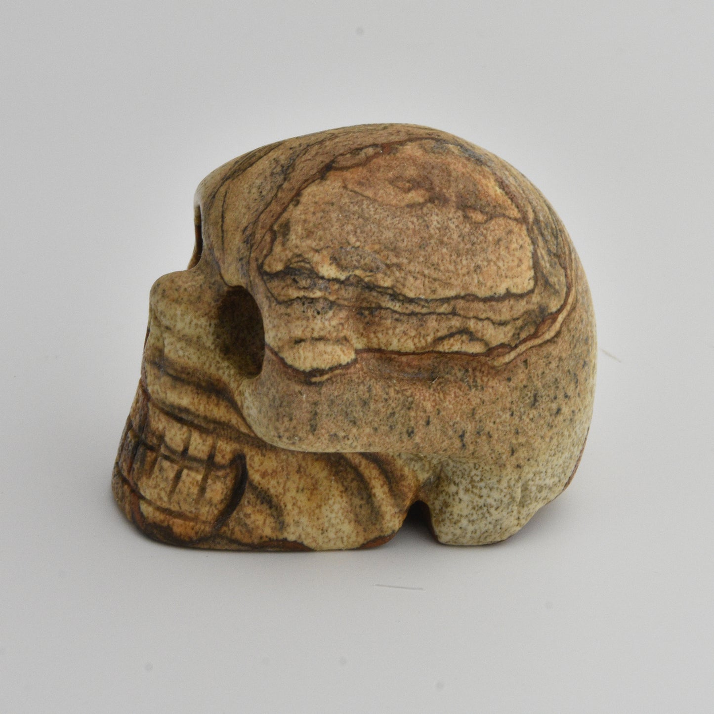 Sandstone Skull