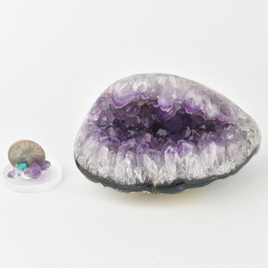 Amethyst Crystal Geode Polished Purple
