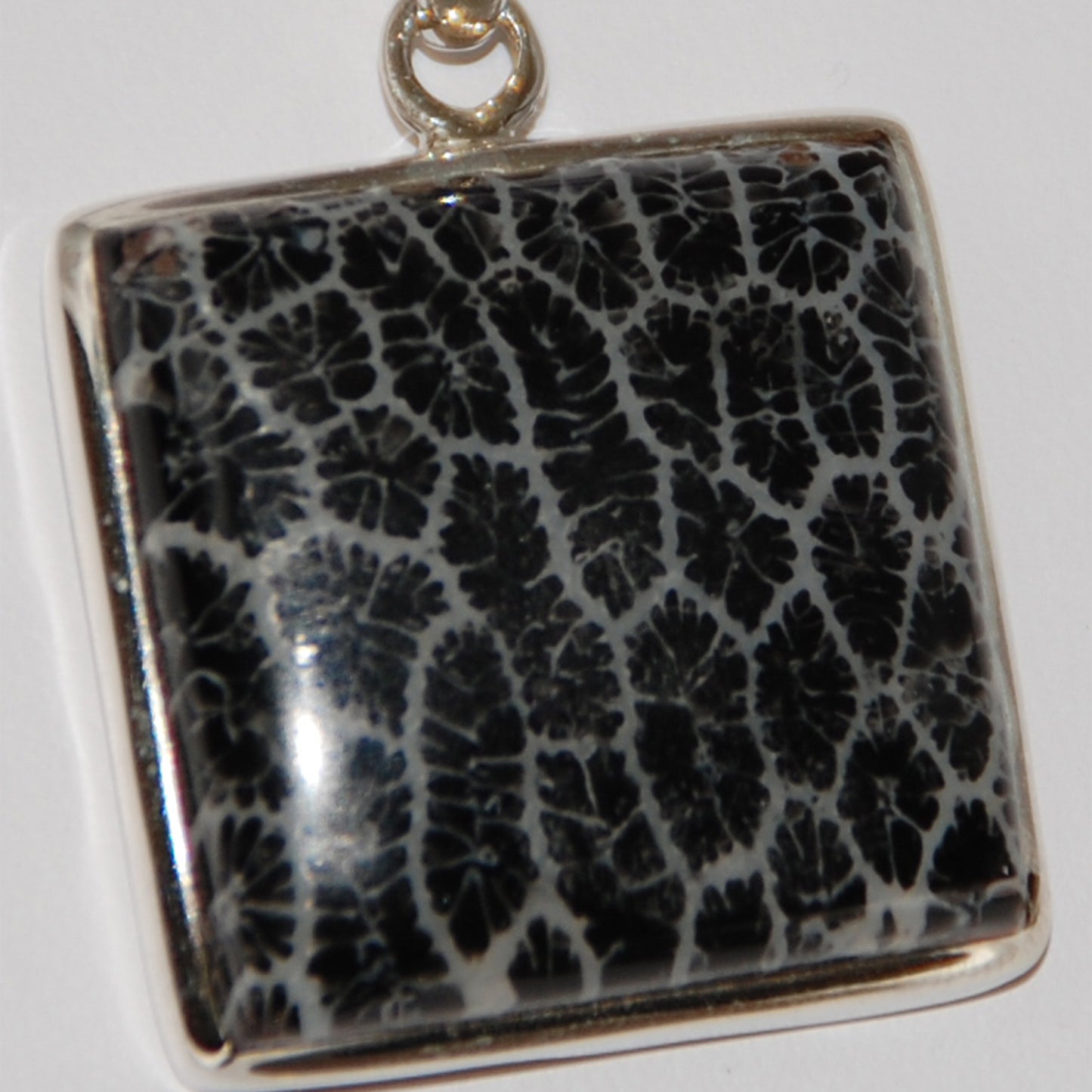 Fossil Black Coral Pendant