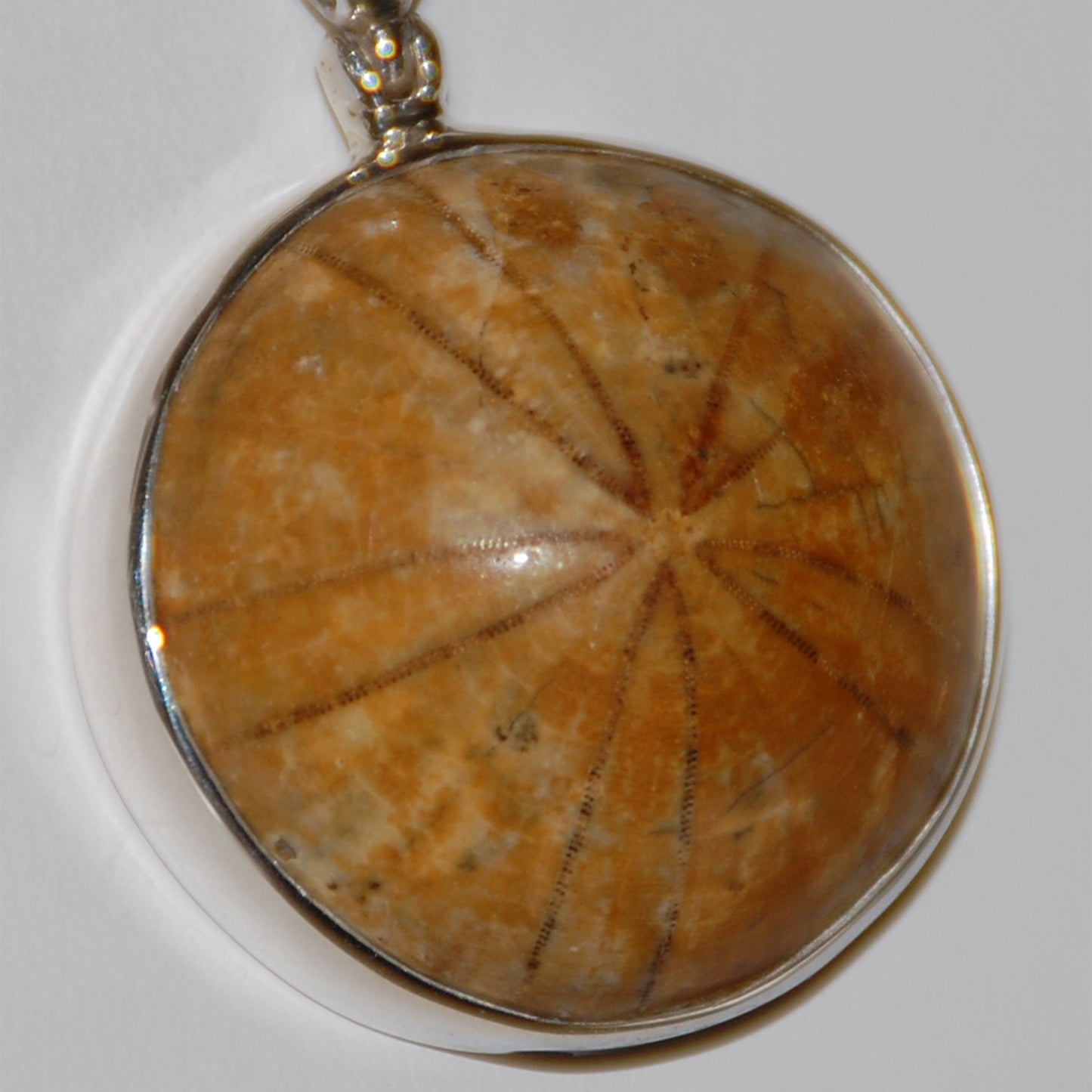 Sand Dollar Pendant