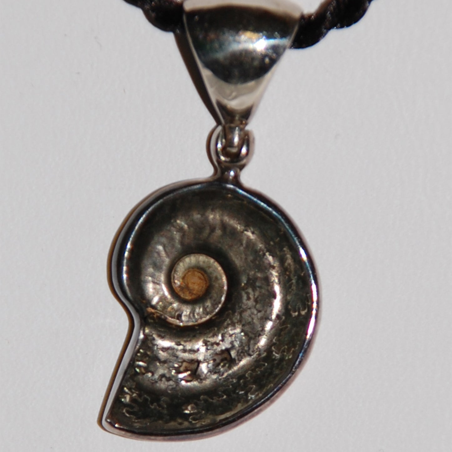 Pyritized Ammonite Pendant