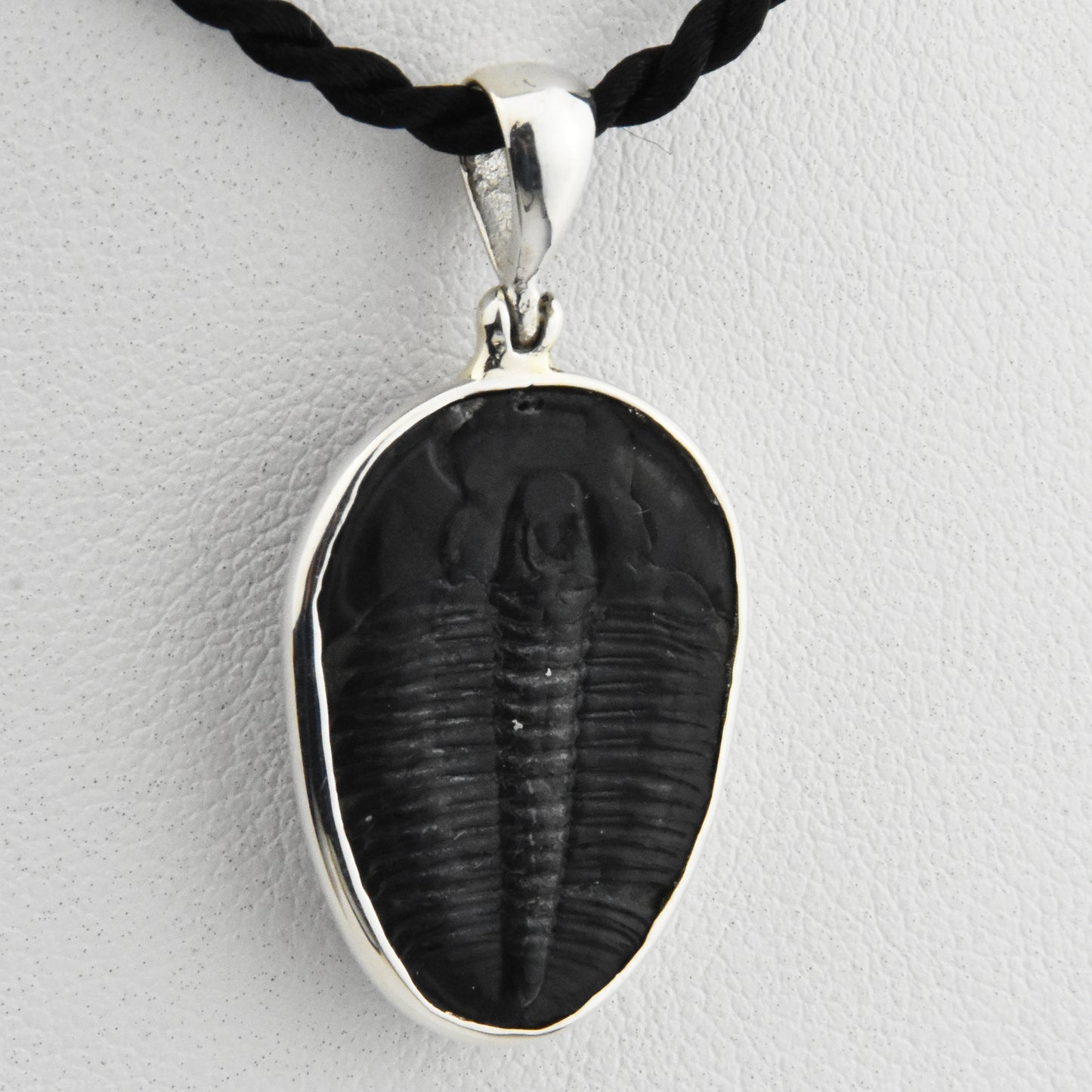 Trilobite Sterling Silver Pendant