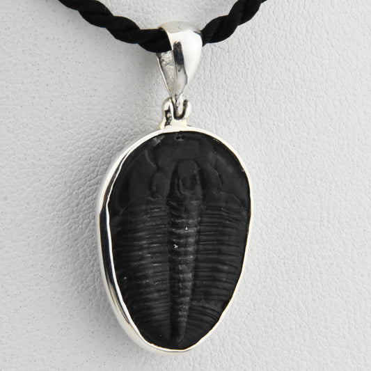 Trilobite Sterling Silver Pendant