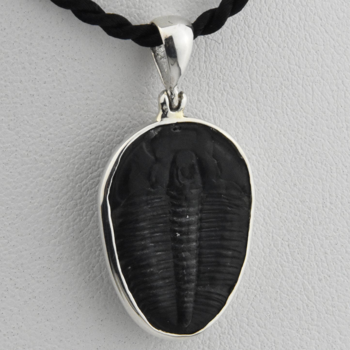 Trilobite Sterling Silver Pendant