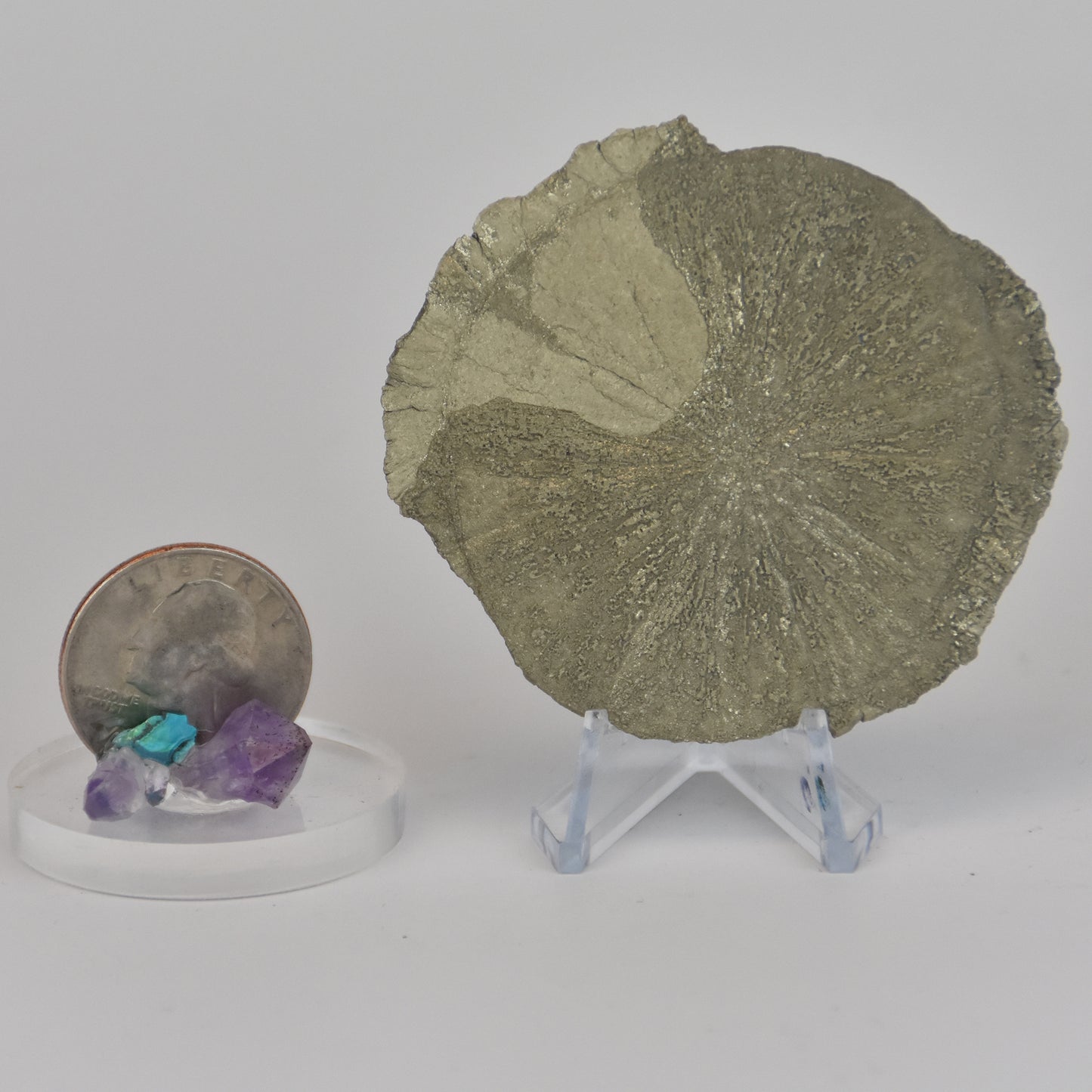 Pyrite Dollar
