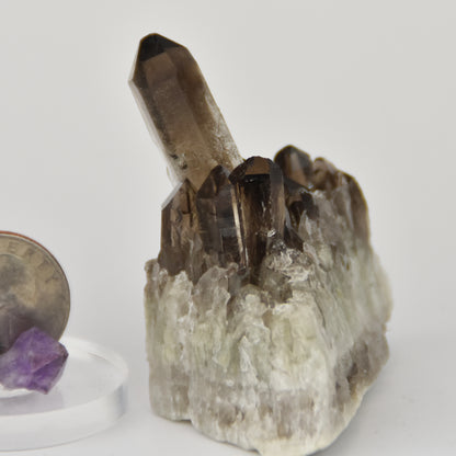 Smoky Quartz Cluster