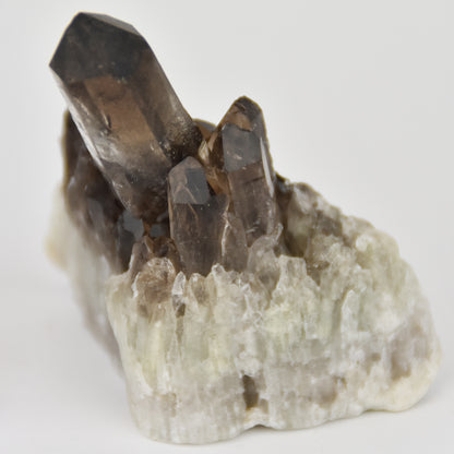 Smoky Quartz Cluster