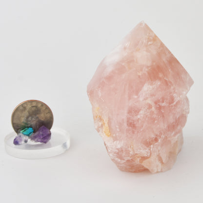 Rose Quartz Top Polished Point