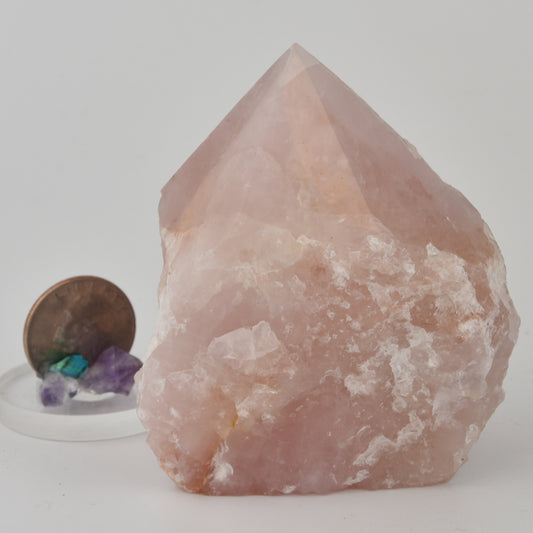 Rose Quartz Top Polished Point