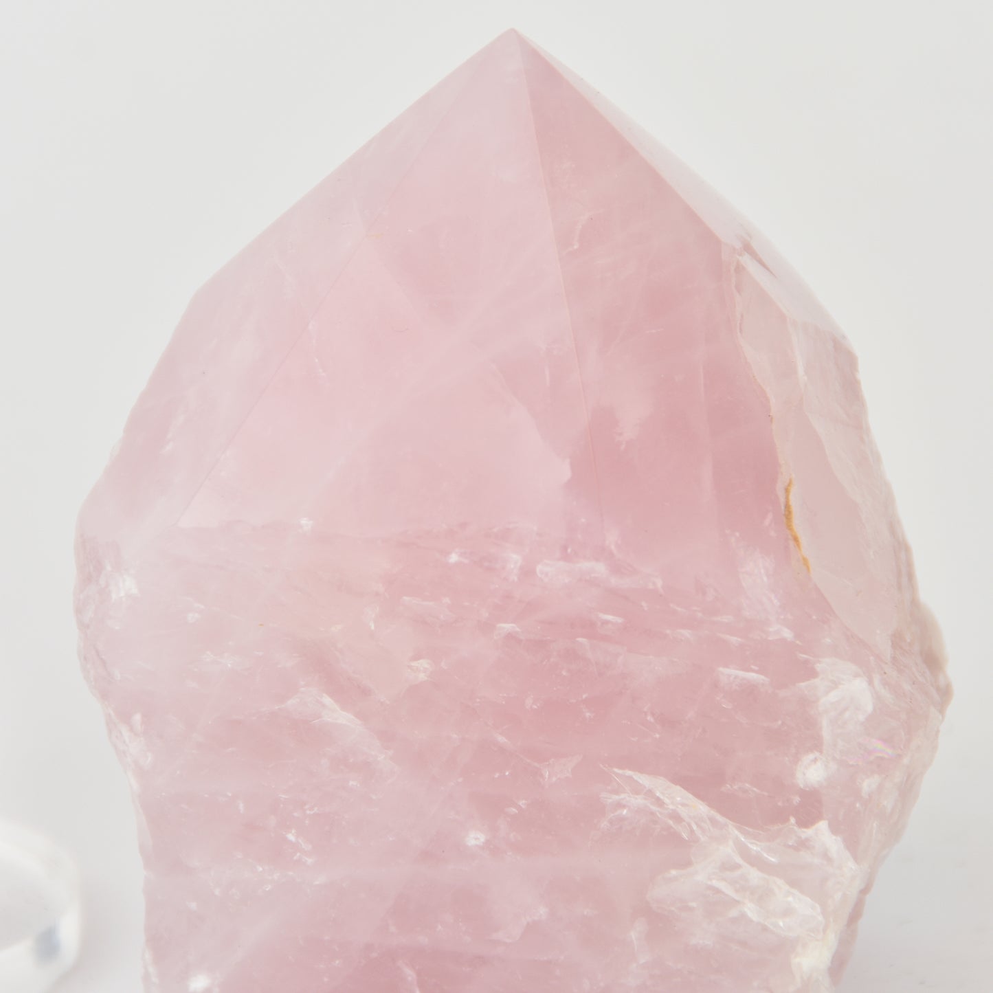 Rose Quartz Top Polished Point