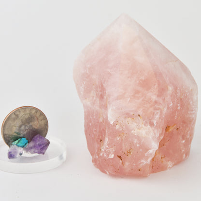 Rose Quartz Top Polished Point