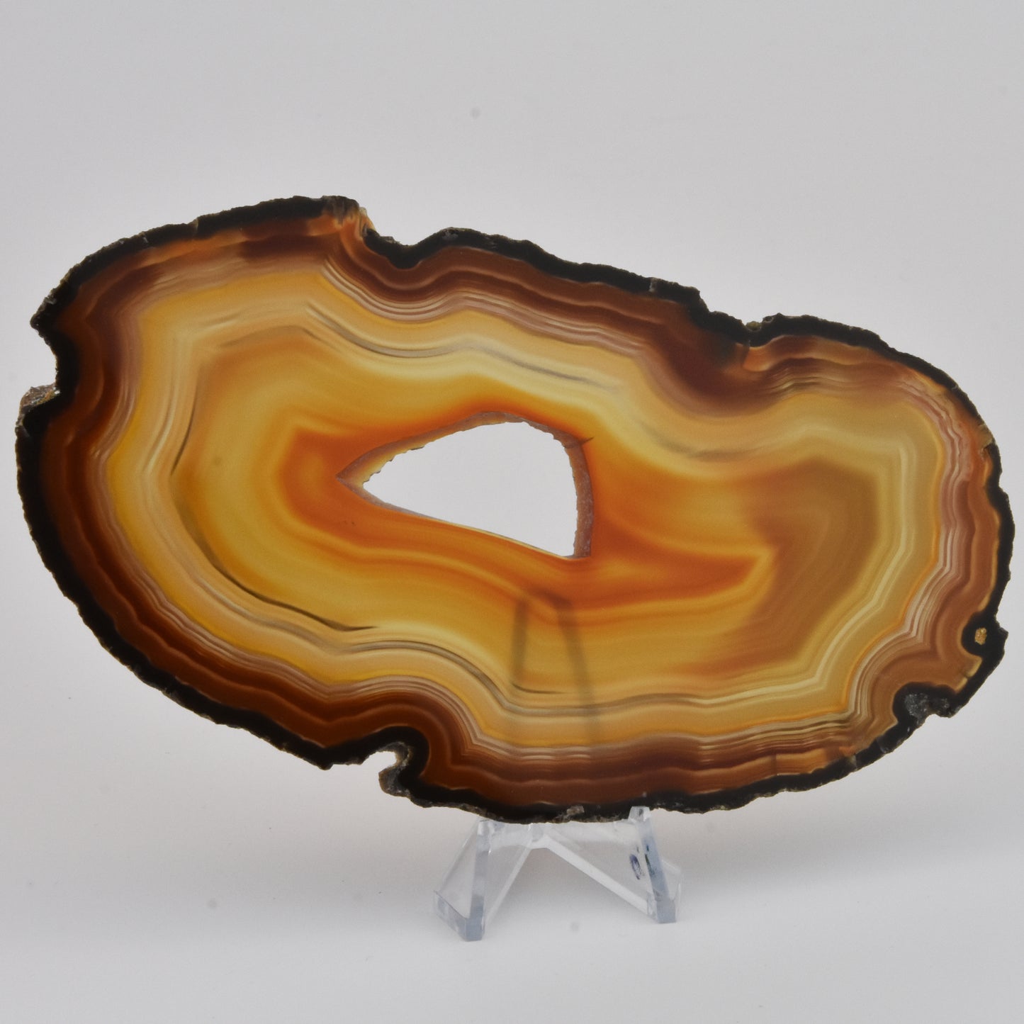 Agate Geode Slice