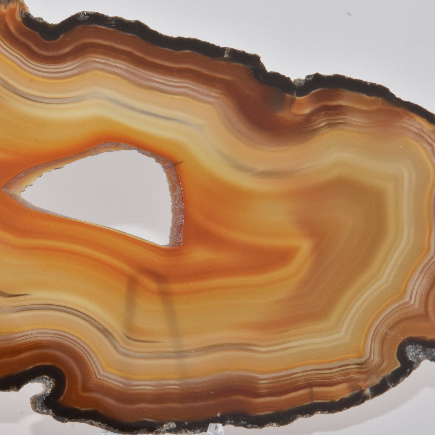 Agate Geode Slice