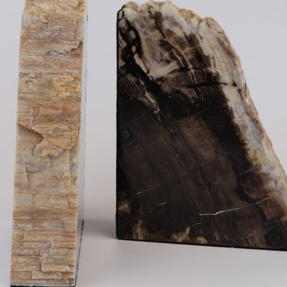 Petrified Wood Bookends