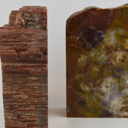 Arizona Petrified Wood Bookends