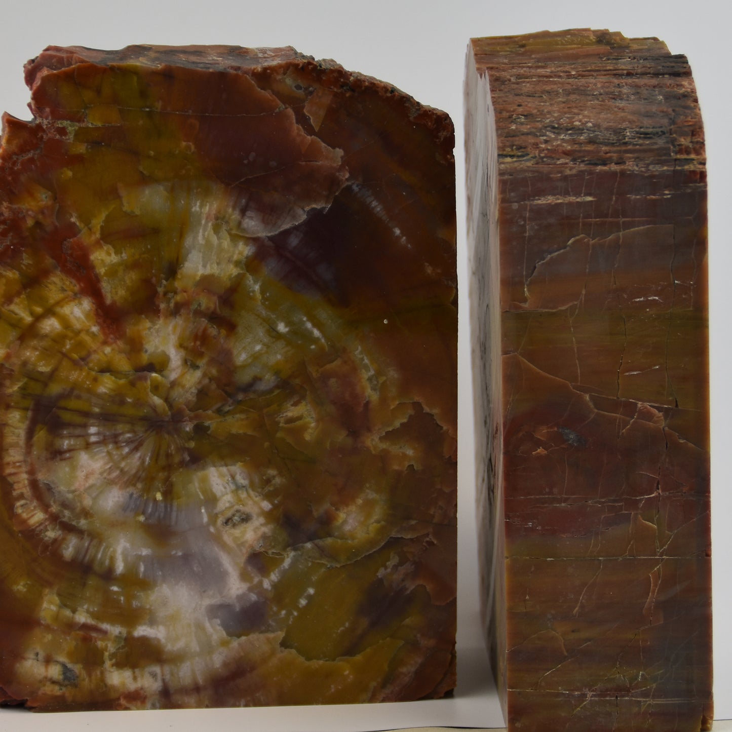 Arizona Petrified Wood Bookends