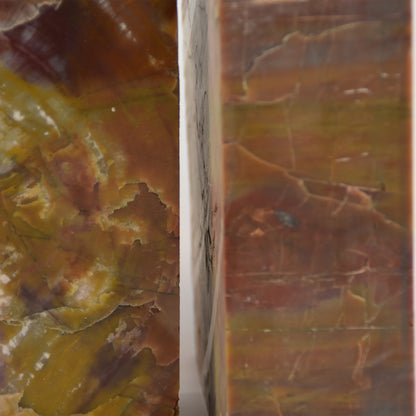 Arizona Petrified Wood Bookends