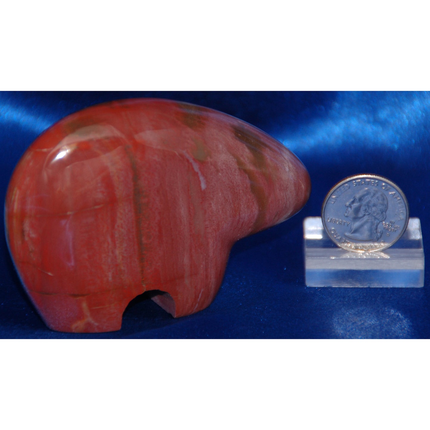 Petrified Wood Bear