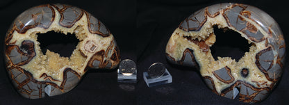 Septarian Nodule Bear Carving