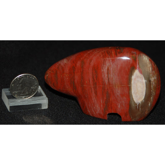 Petrified Wood Bear