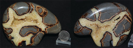 Septarian Nodule Bear Carving