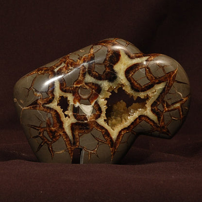 Septarian Nodule Buffalo