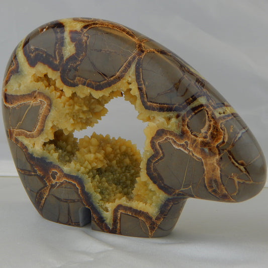 Septarian Nodule Bear