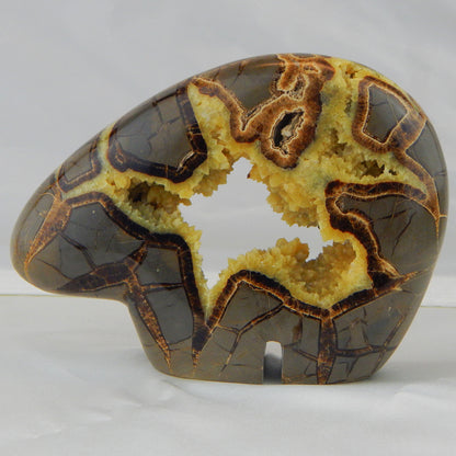 Septarian Nodule Bear